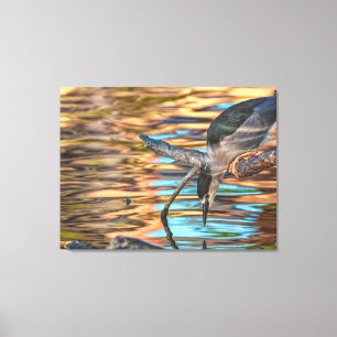 Nachtreiher beim Fischen Leinwanddruck