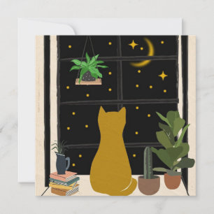 Nachts Kitty