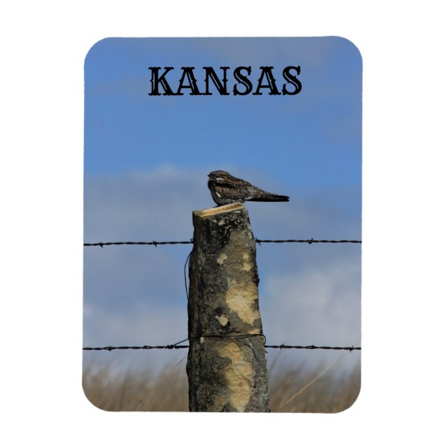 Nachtschwärmer schlafen auf einem steinernen Postm Magnet (Vertikal)