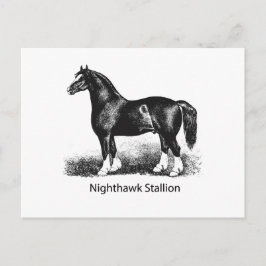 Nachtschwärmer-StallionProdukt-Ausgewählt-Multiple Postkarte