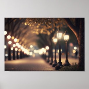 Nachtzeit im Park mit Bokeh-Beleuchtung Poster