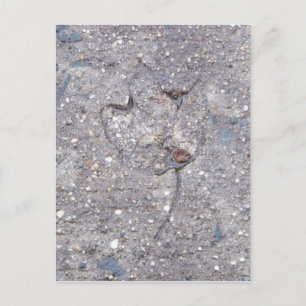 Nachweis des Herbstes - leaf card Postkarte