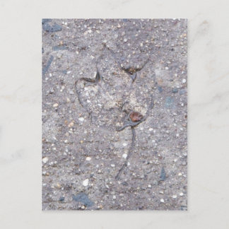 Nachweis des Herbstes - leaf card Postkarte