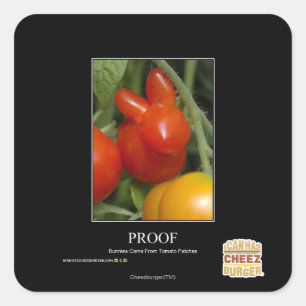 Nachweis Quadratischer Aufkleber