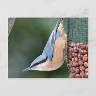 Nackt auf Feeder Postkarte