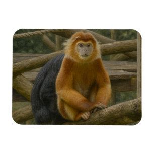 Nacktfresser Affe in der Waldhütte Magnet