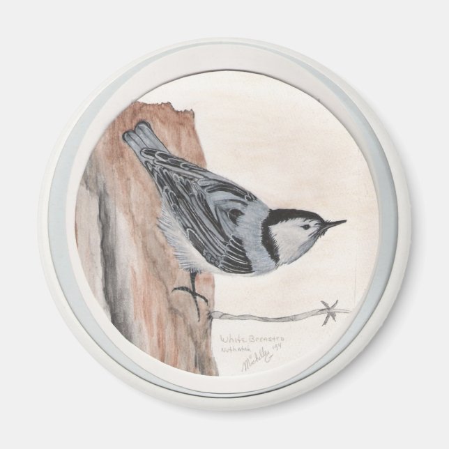 Nacktschnecke Magnet (Vorne)