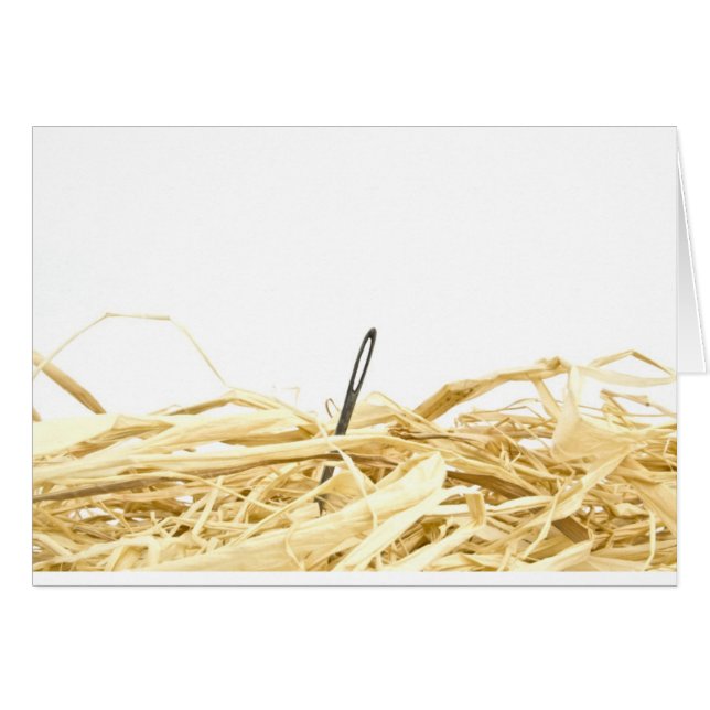 Nadel im Heuhaufen (Vorderseite (Horizontal))