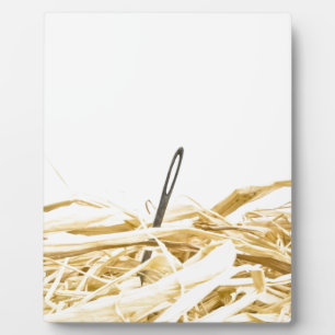 Nadel im Heuhaufen Fotoplatte