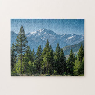 Nadelbäume mit Bergkulisse Puzzle