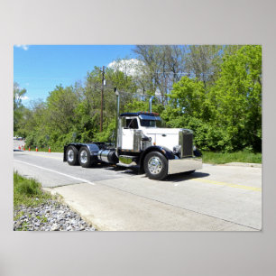 Nadelnase Pete Poster