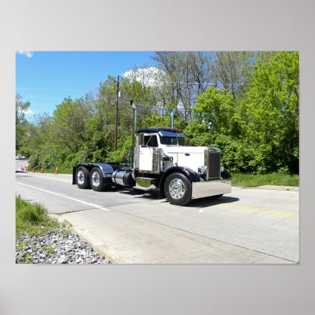 Nadelnase Pete Poster (Vorne)