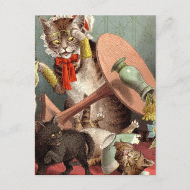 Naghty Cats Postcard Postkarte (Vorderseite)