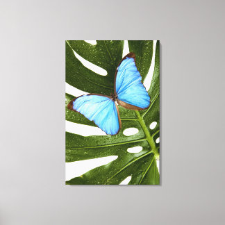 Nah auf einem blauen Morpho-Schmetterling auf eine Leinwanddruck