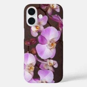 Nah-Aufnahmen von Violett und Weiß-Orchid iPhone 16 Hülle