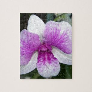 nah aus einer wunderschönen lila-weißen Orchidee Puzzle