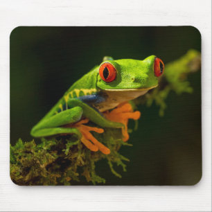 Nah, bestehend aus einem Red Mit Augen Tree Frog # Mousepad