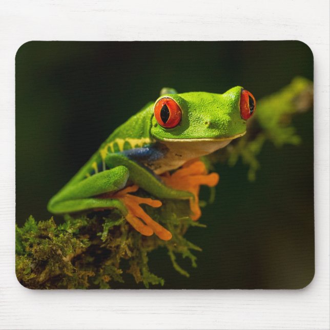Nah, bestehend aus einem Red Mit Augen Tree Frog # Mousepad (Vorne)