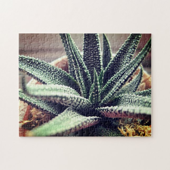 Nah-hoch-sukkulente Hauspflanze Entspannung der Se Puzzle (Horizontal)