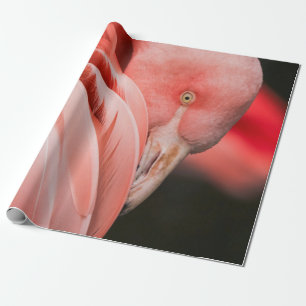 NAH-OBEN-FOTOGRAFIE EINES PINKVOGELS GESCHENKPAPIER