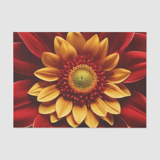 Nah-oben-Rot-Gelb-Blume Seidenpapier (Vorderseite)
