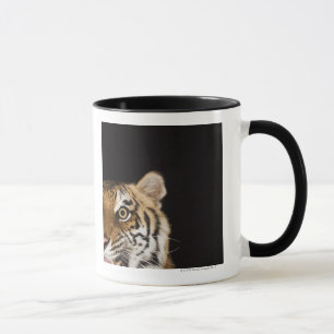 Nah oben vom Gesicht des Brüllentigers Tasse