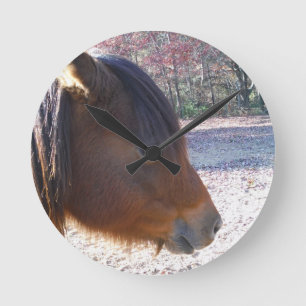 Nah oben von Brown-Pferd, kleines Brown-Pony Runde Wanduhr