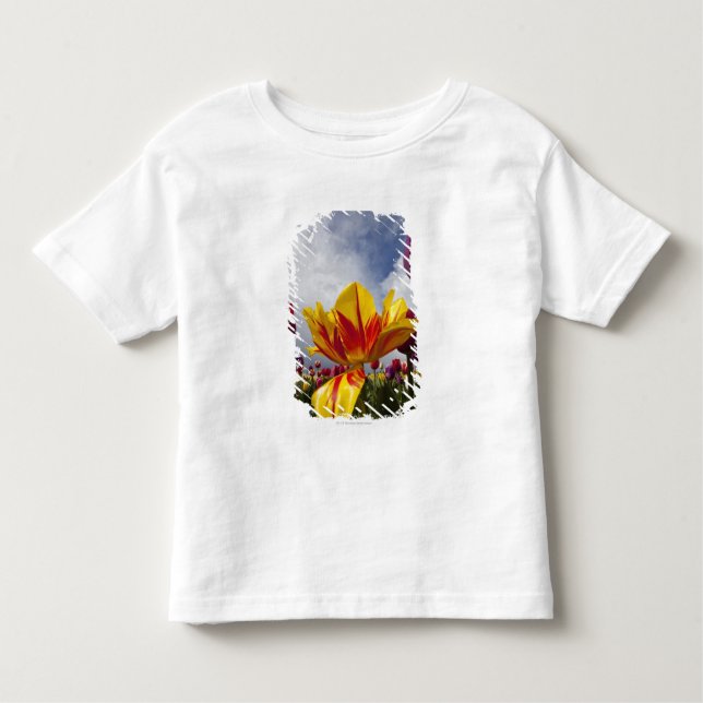 Nah oben von den bunten blühenden Tulpen in Oregon Kleinkind T-shirt (Vorderseite)