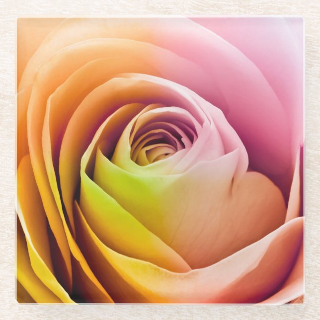 Nah oben von den bunten Rosen-Blumenblättern Glasuntersetzer (Vorderseite)