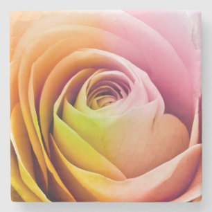 Nah oben von den bunten Rosen-Blumenblättern Steinuntersetzer