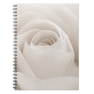 Nah oben von den weißen Rosen-Blumenblättern Notizblock