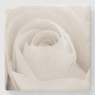 Nah oben von den weißen Rosen-Blumenblättern Steinuntersetzer