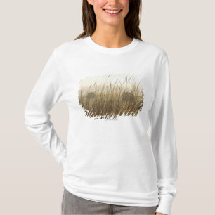 Nah oben von der Weizen-Fotografie T-Shirt
