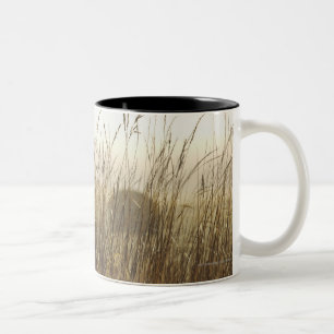 Nah oben von der Weizen-Fotografie Zweifarbige Tasse
