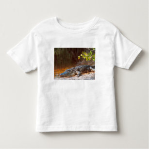 Nah oben von einem amerikanischen Alligator am Kleinkind T-shirt