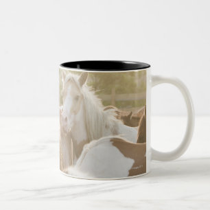 Nah oben von einer Herde der Pferde Zweifarbige Tasse