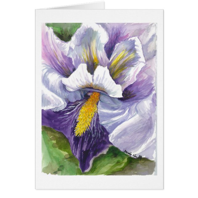 Nah oben von einer Lilie (Vorne)