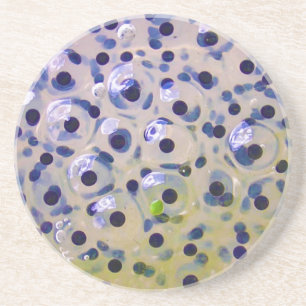 Nah oben von Frogspawn Eggs bald, um Tadpoles zu Getränkeuntersetzer