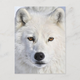 nah und persönlich.jpg postkarte