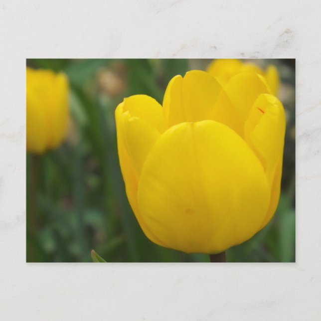 Nah und persönlich postkarte (Vorderseite)