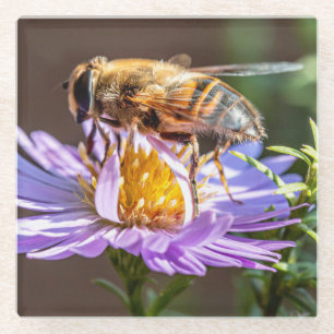 Nah Up a Bee on a Lila Blume Glasuntersetzer