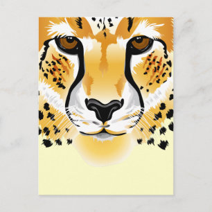 nah-up-Abbildung Postkarte