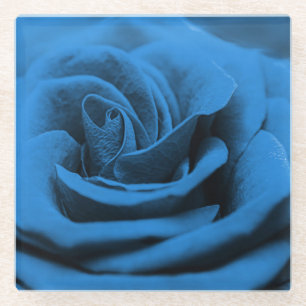Nah-up blaue rote Rose, Makro-Schönheit. Glasuntersetzer