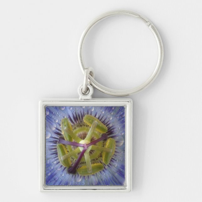Nah-up der aufgeweckten Leidenschaft Blume. Kredit Schlüsselanhänger (Vorne)