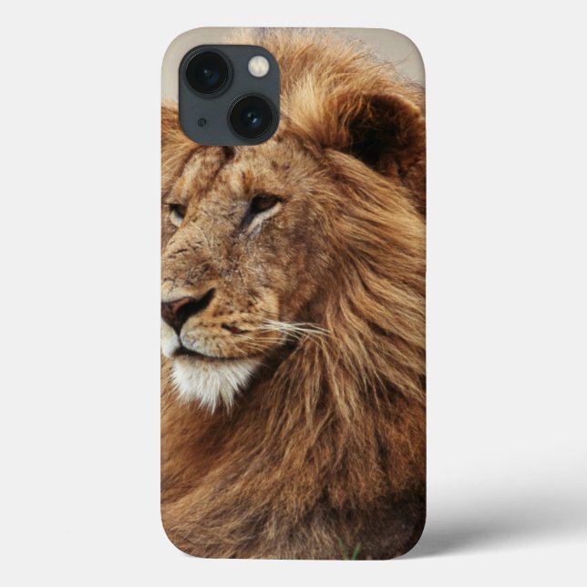 Nah-up der männlichen Löwe Case-Mate iPhone Hülle (Rückseite)