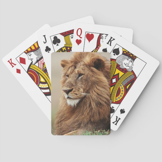 Nah-up der männlichen Löwe Spielkarten (Rückseite)