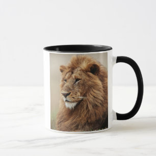 Nah-up der männlichen Löwe Tasse