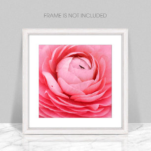 Nah-up-Foto mit rosa Blume Fotodruck