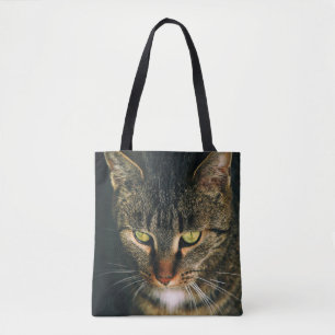 NAH-UP-FOTOGRAFIE DER GRAUTABBY-KATZE