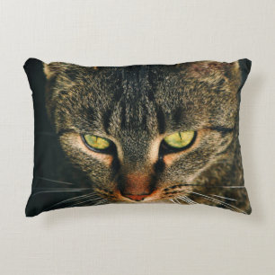 NAH-UP-FOTOGRAFIE DER GRAUTABBY-KATZE DEKOKISSEN